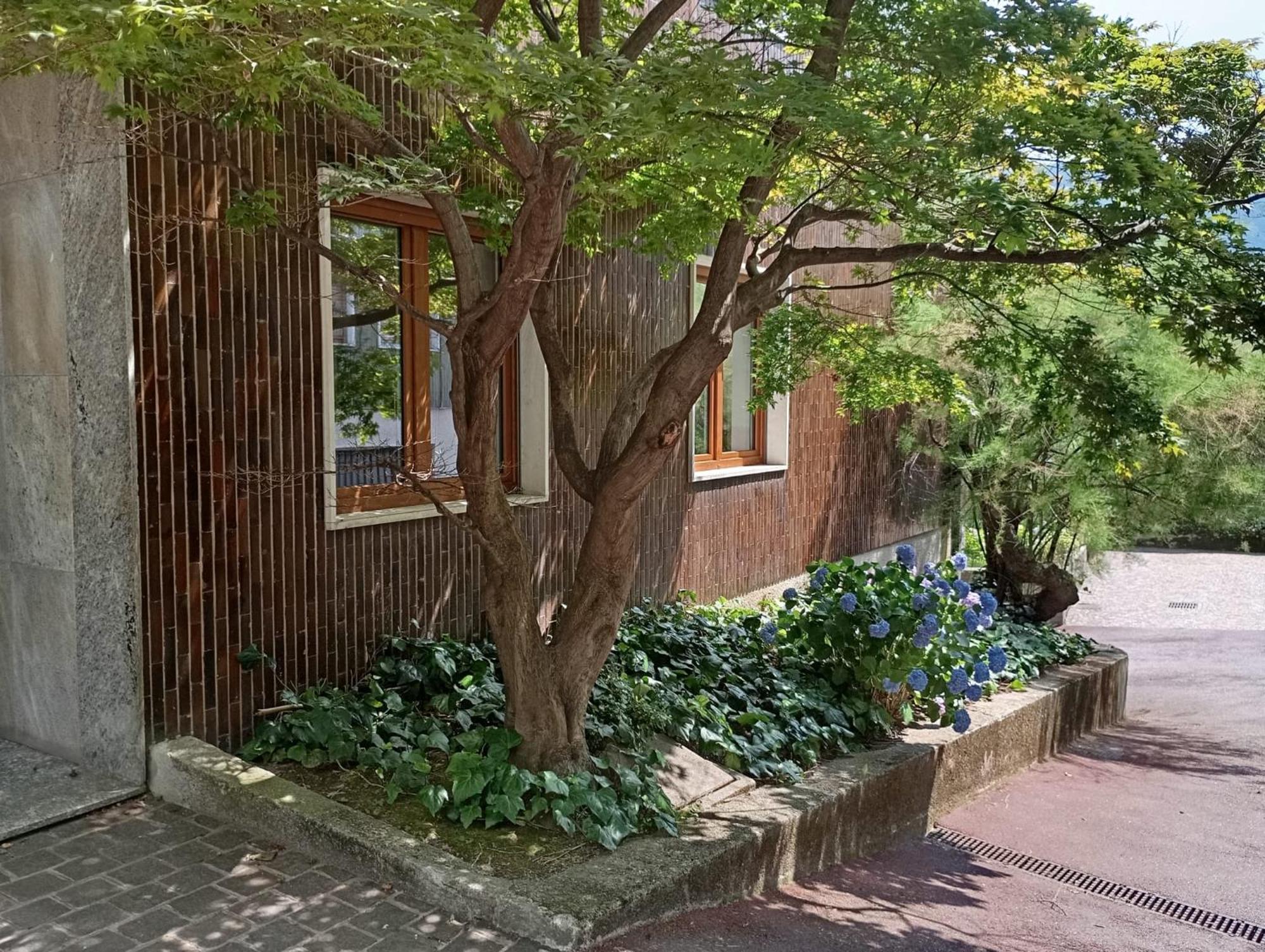 Casa Brumani Como Kültér fotó